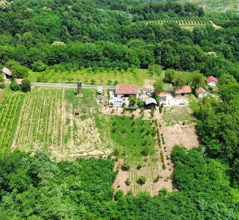 Vendégház Ludbreg - CCC761 - foto 1