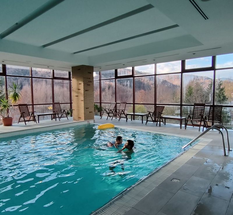 Hotel Valea cu Pești Arefu - foto 1