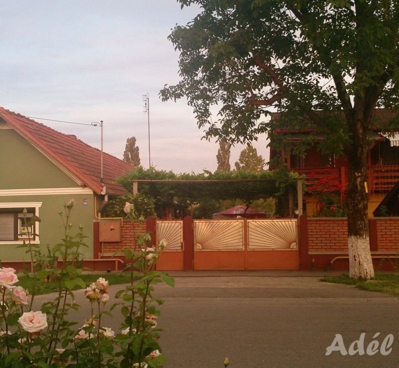 Pensiunea Adela Cristur - foto 1