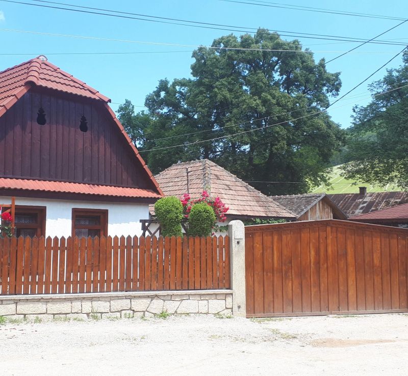 Pensiunea Rita Rimetea - foto 1