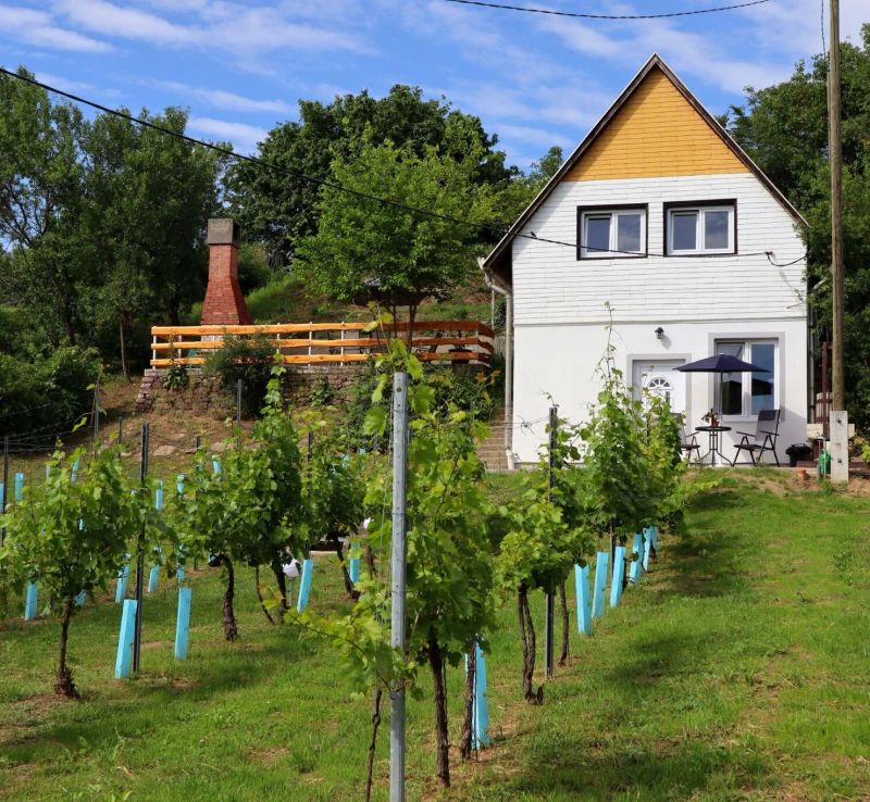 Szőlőskert Vendégház Baj - foto 1