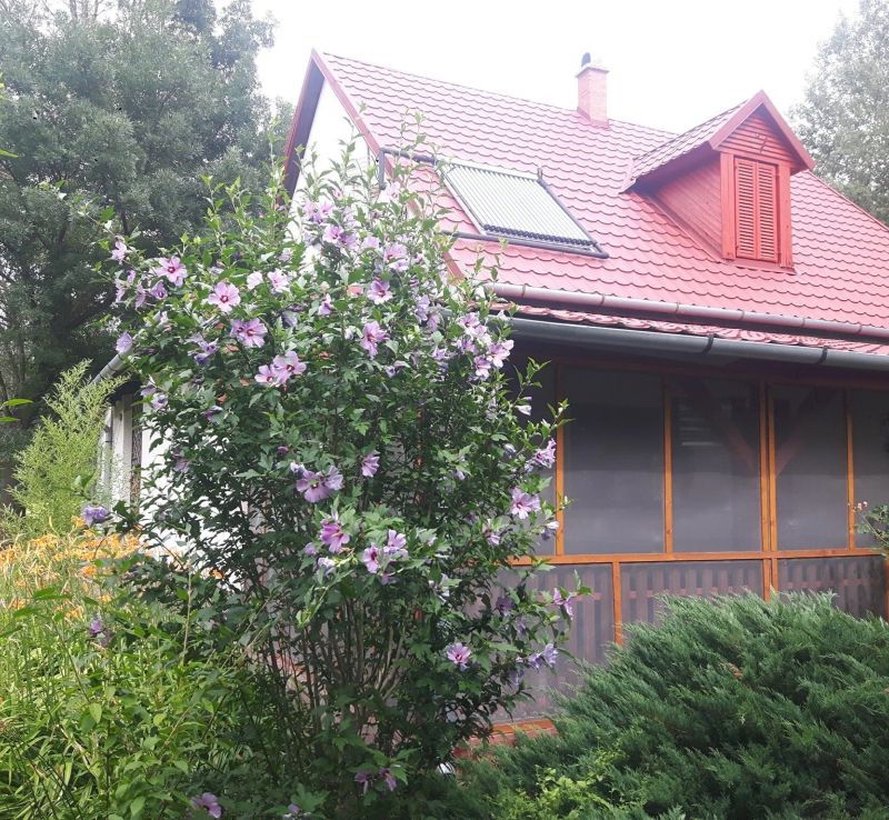 Tiszai Vándor Apartmanház Kisköre - foto 1