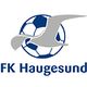 FK Haugesund