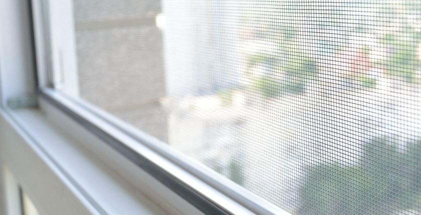 Szukasz skutecznej ochrony przed owadami Wybierz moskitiery na okna