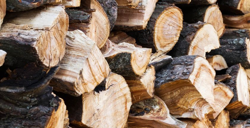 Jak sezonować drewno opałowe? Ile musi schnąć drewno do kominka?