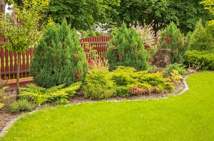 aranżacja ogrodu przy płocie - zdjęcie 1