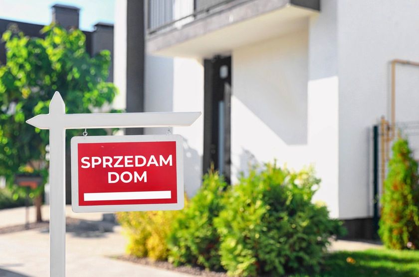 domy na sprzedaż - zdjęcie 1