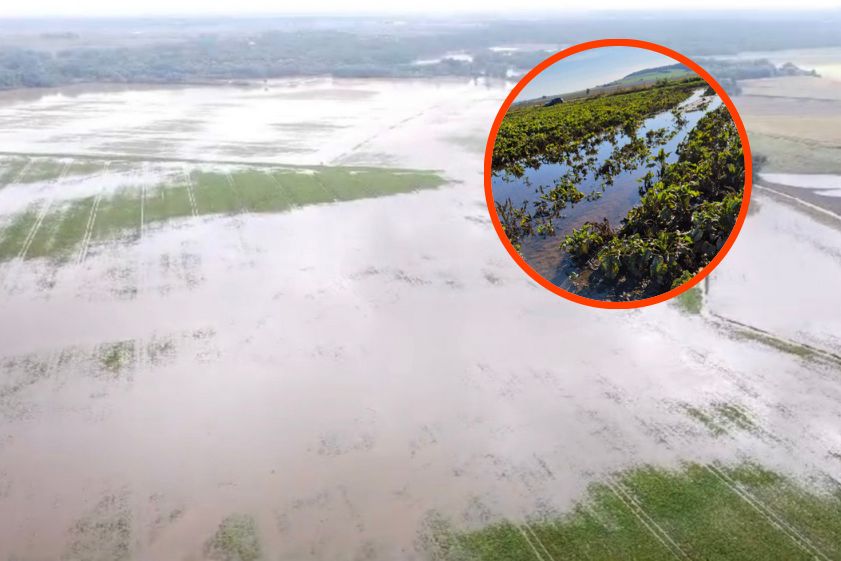 Rolnicy przegrywają z powodzią. "Jest bagno, rośliny gniją"