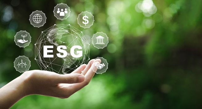 Tworzą miejsca pracy i chronią klimat: jak fabryki BAT w Polsce konsekwentnie realizują założenia ESG