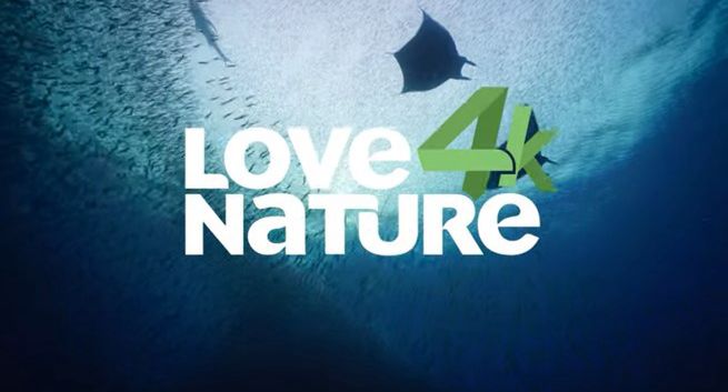 Kanał Love Nature 4K będzie nadawał po polsku