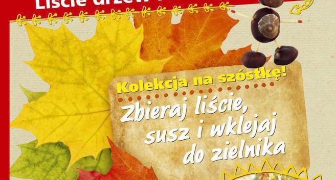 Burda wydaje magazyn „Mój Zielnik” dla dzieci i młodzieży szkolnej