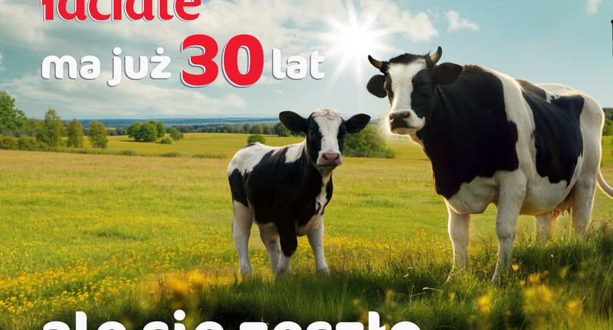 Mleko Łaciate ma 30 lat. Jubileuszowa kampania z użyciem AI