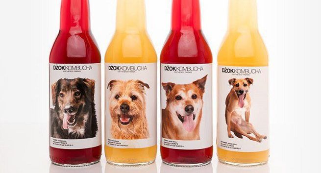 Krakowska restauracja zachęca do adopcji psów