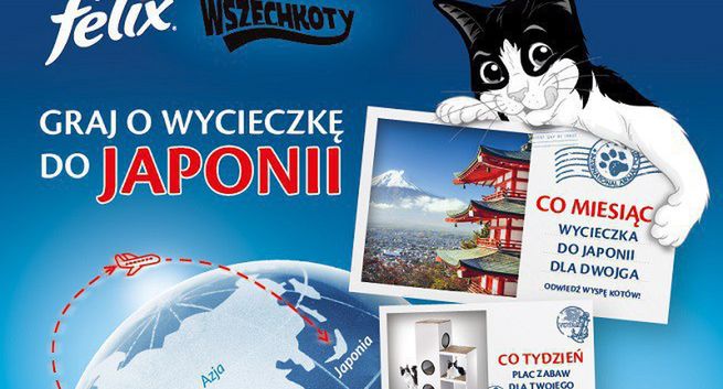 Purina Felix z kolejną edycją konkursu „Wszechkoty”