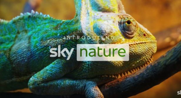 Nowe kanały dokumentalne w Niemczech