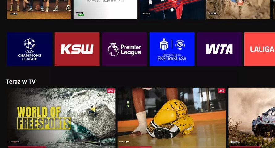 Sport napędza streaming. Nowy raport o rynku VoD