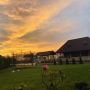 Casa Eli Vișeu de Sus