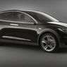 Tesla Model X - wielki sukces na początek