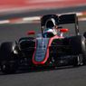 Cała prawda o wypadku Fernando Alonso?