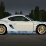 Porsche Cayman X-Wide XTR Carchip