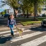 Generatory dźwięku obowiązkowe od 1 lipca 2019 roku. Hybrydy i elektryki nie będą takie ciche