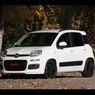 Rodzinny i sportowy – Novitec Panda TwinAir (2012)