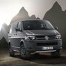 VW Transporter Rockton | Transport(er) w terenie?