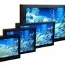 Jak kupić LCD na aukcji internetowej?