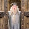 Profesor Dumbledore w postapokaliptycznych klimatach