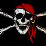 Założyciel The Pirate Bay zamierza dalej działać w sieci