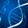 Czy jesteśmy inteligentni z powodu błędu kopiowania DNA?