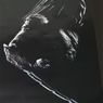 Predators: Pierwsze fragmenty i plakat!