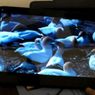 MasterPad - iPad killer pod każdym względem