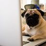 Czym może nas zaskoczyć MacBook? Letni konkurs Applemanii część 2