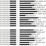 Hakerzy skradli adresy email 114 tys. posiadaczy iPada. W tym wojskowych, prezesów i politycznych bossów