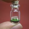 10 najpiękniejszych miniaturowych dzieł sztuki