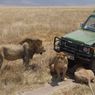 Park Narodowy Ngorongoro