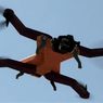 AirDog – pies, który lata. Kolejny powietrzny partner nagra nasze wyczyny