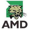AMD wprowadza swojego "Atoma"