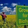 Pryska mit „zielonych” biopaliw? Szkodzą bardziej od benzyny!