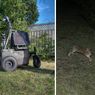 CoolerBot – solarny robot, który fotografuje nocą?