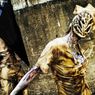 Cosplay bardzo na poważnie - Mirror's Edge i Silent Hill