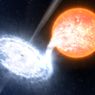 Gwiazda pożerana na oczach astronomów