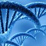 Chcesz obejrzeć swoje DNA - we własnej kuchni?