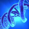 Uczeni stworzyli biologiczny komputer w próbówce