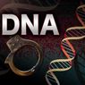Naukowcy potrafią już sfabrykować dowody oparte na próbkach DNA