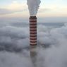 Algi wydzielają więcej CO2 niż go pochłaniają