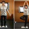 Wii Fit od EA