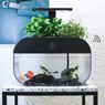 EcoGarden – domowy ogród. Uprawa akwaponiczna, którą obsłużysz smartfonem
