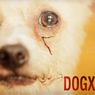 10 świetnych internetowych parodii seriali. “Dexter”, “Gra o tron”, “Homeland” i inne